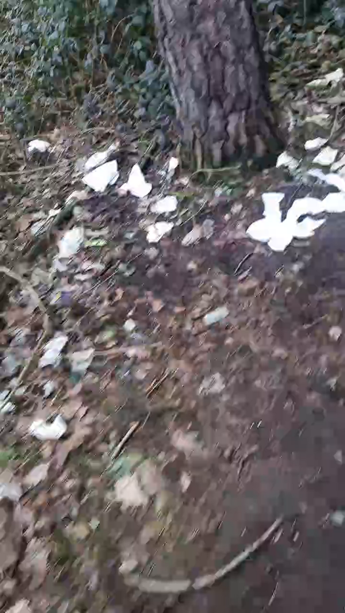 Outdoorgeil1