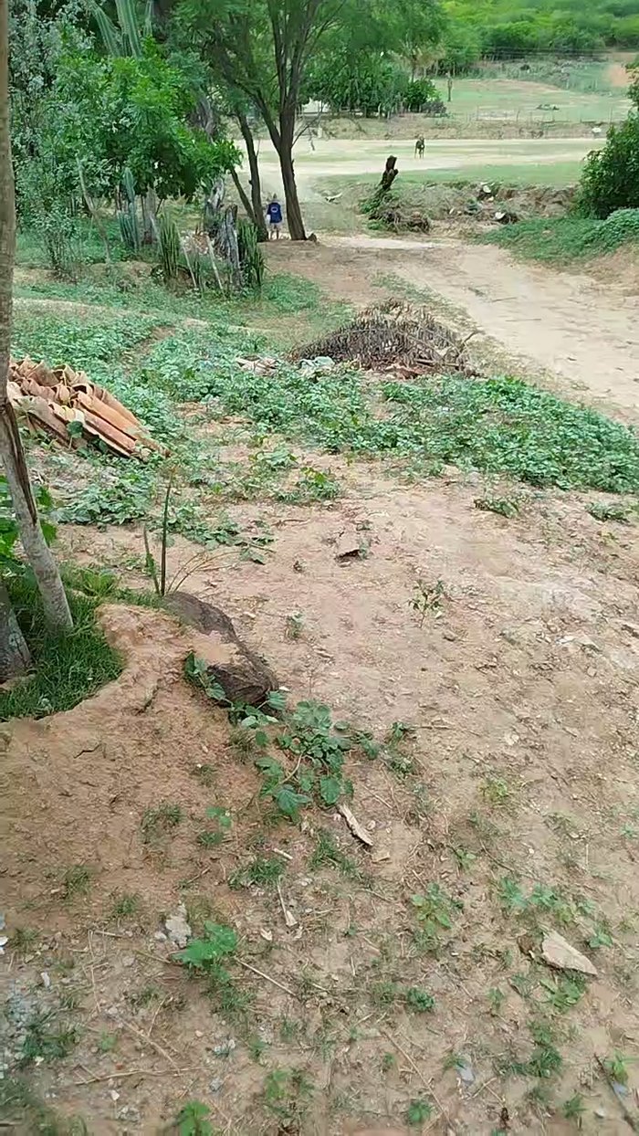 magrogostoso1