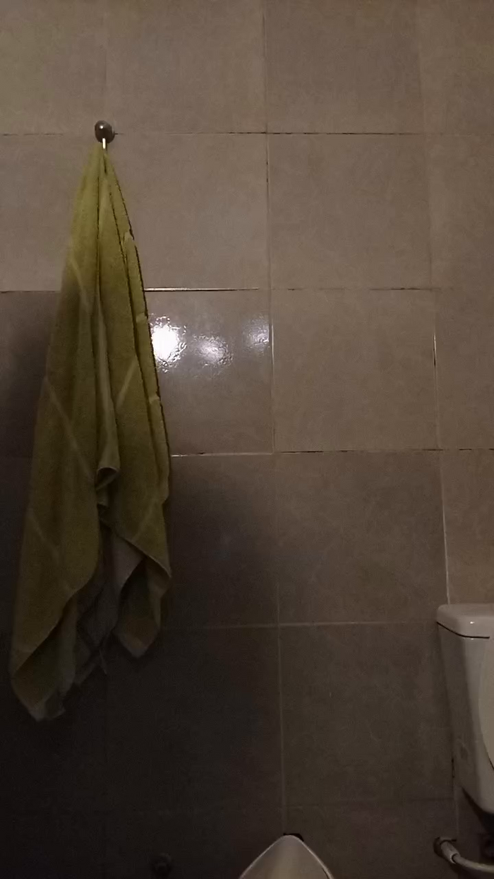 Aylensofia03