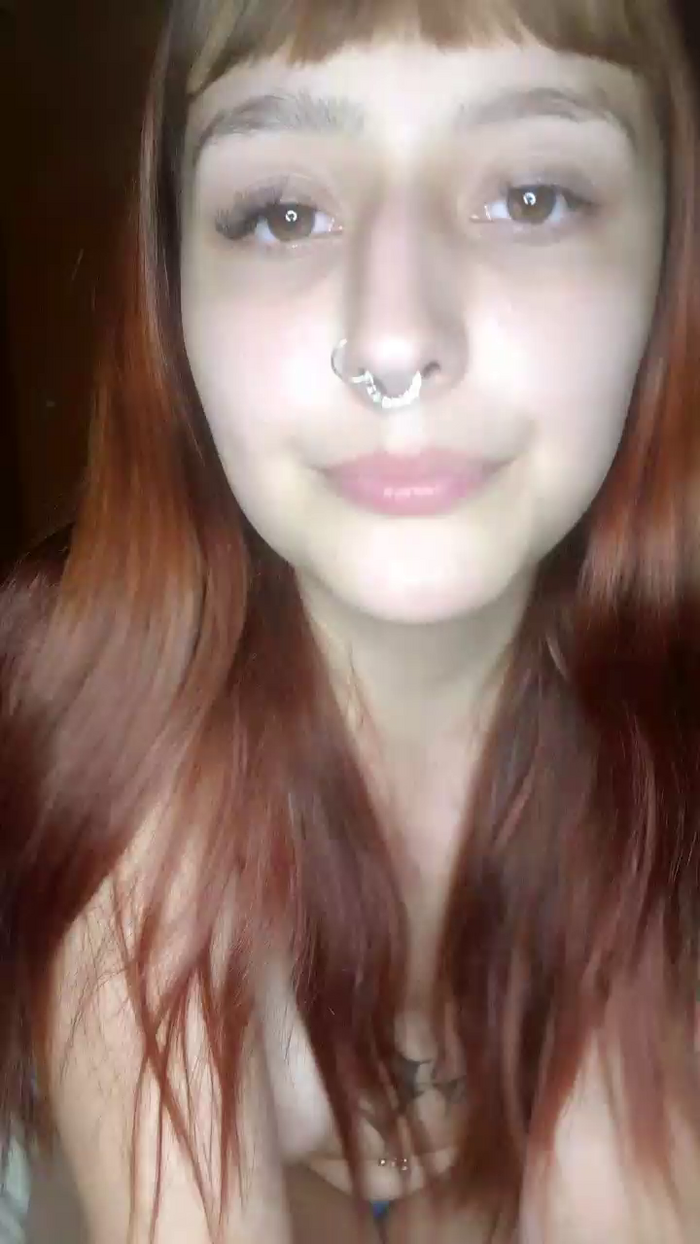 Dollb