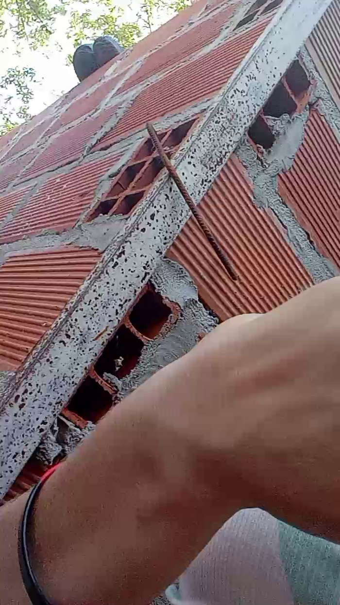 colobeb_hot