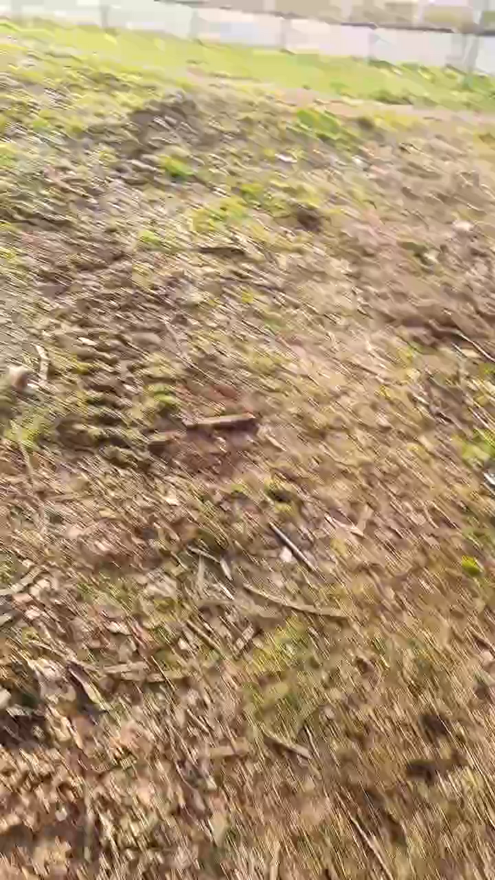 Outdoorgeil1