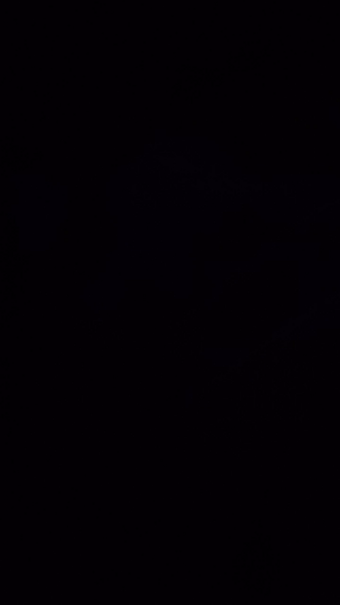 AuroraLiz