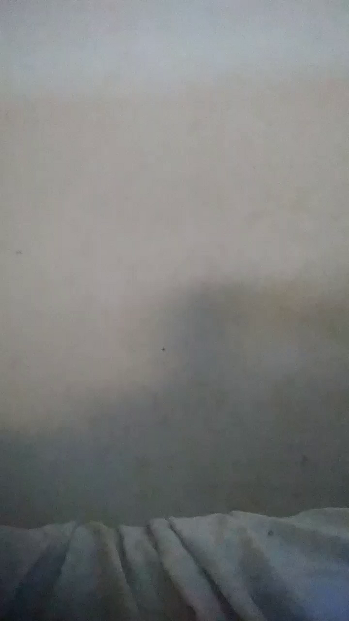 ebonypriv