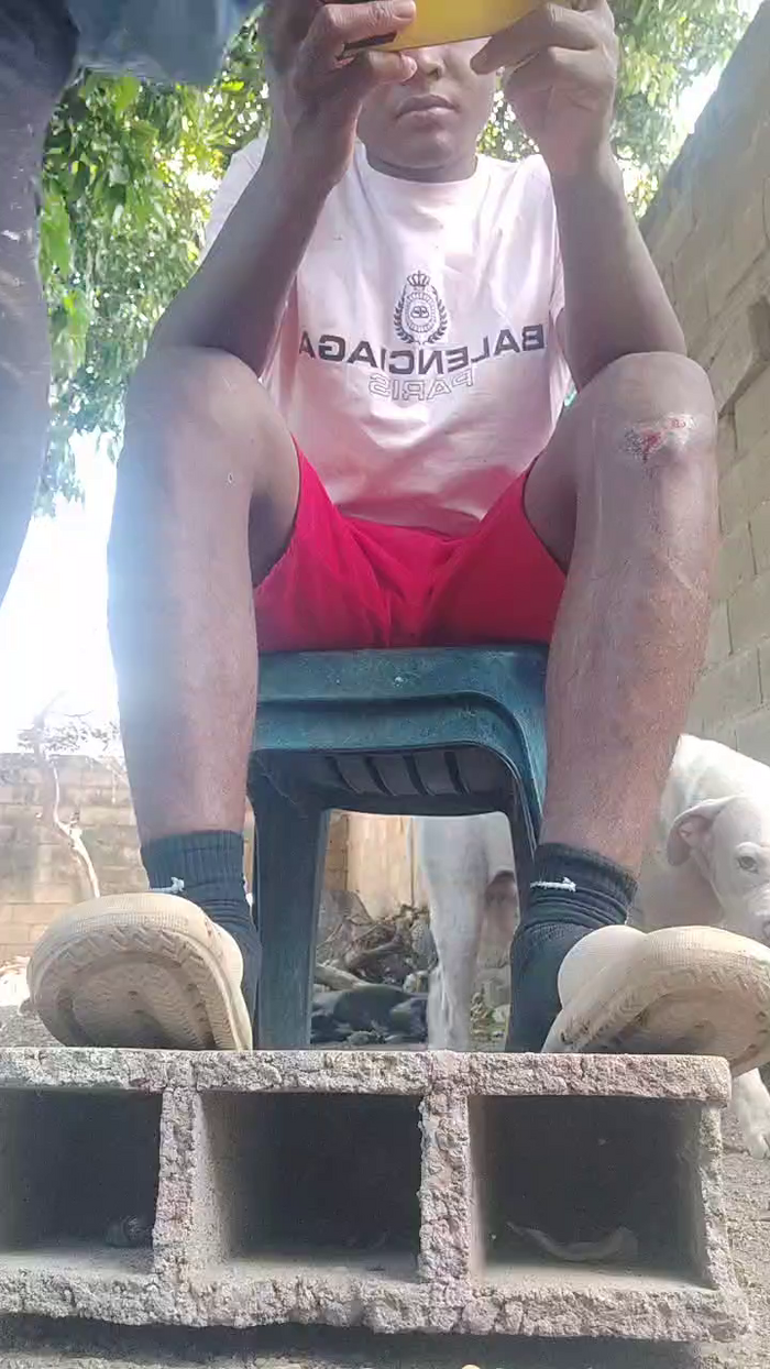 Papiyoungpig
