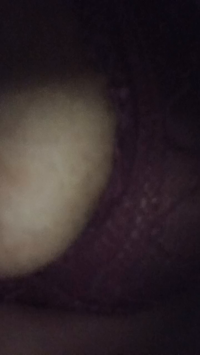 Panteranegraa