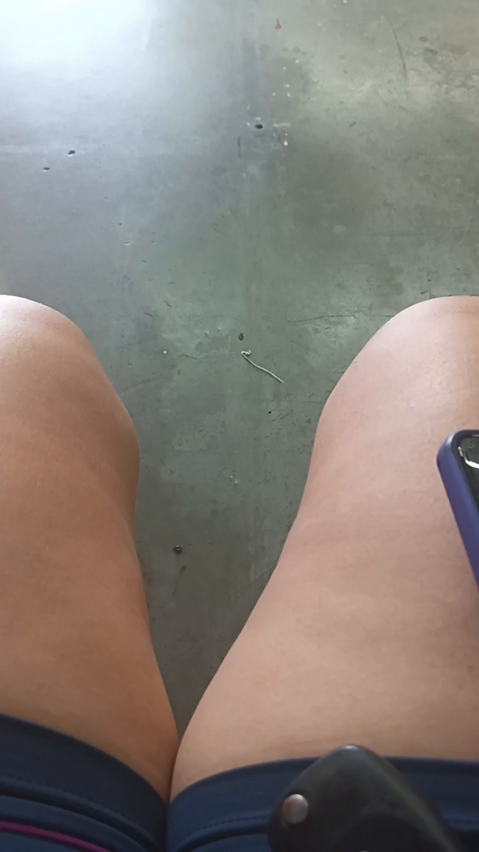 Raissa084