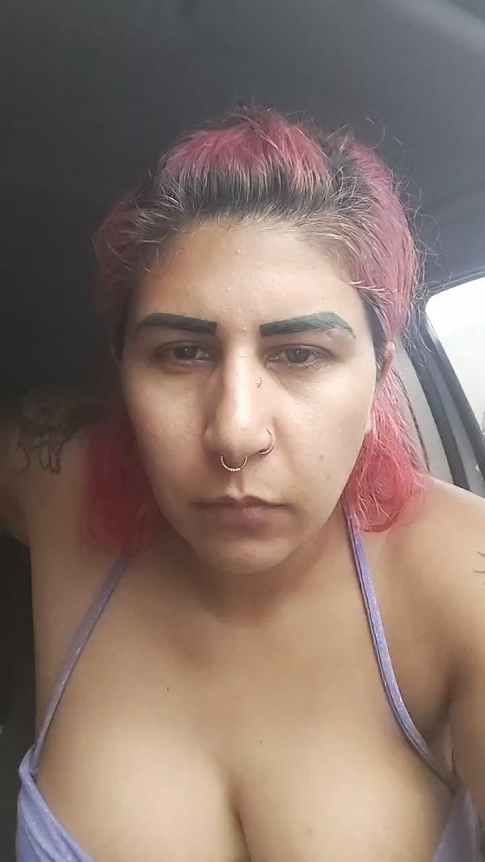 blgaucha