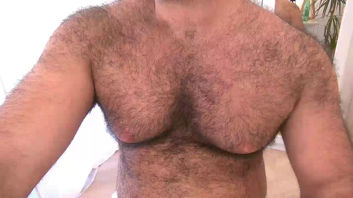 bearhairs