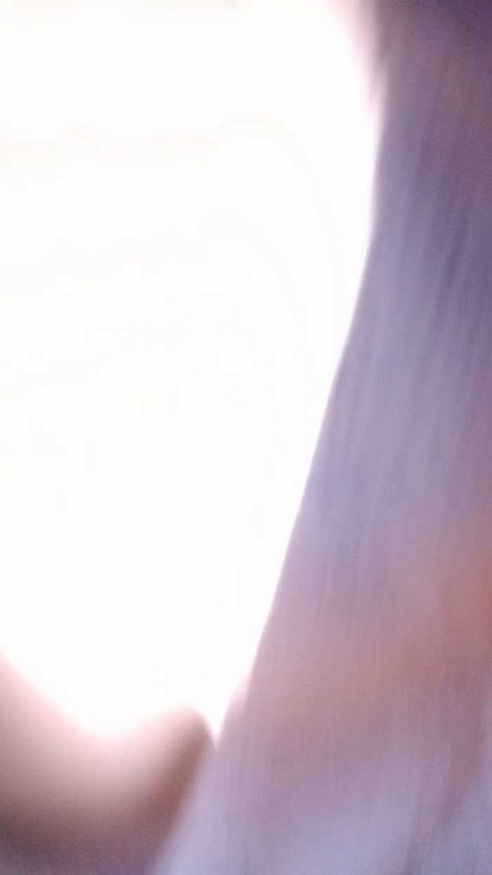 Mimidreve_