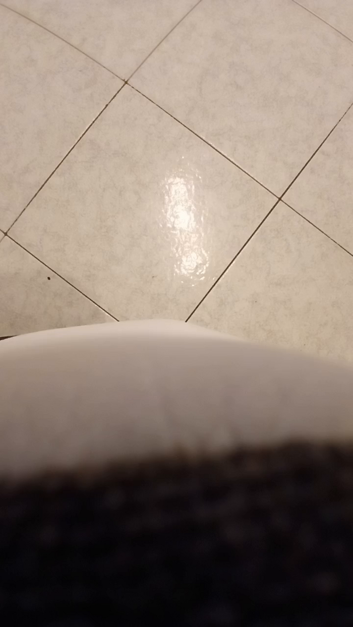 alessandravite1