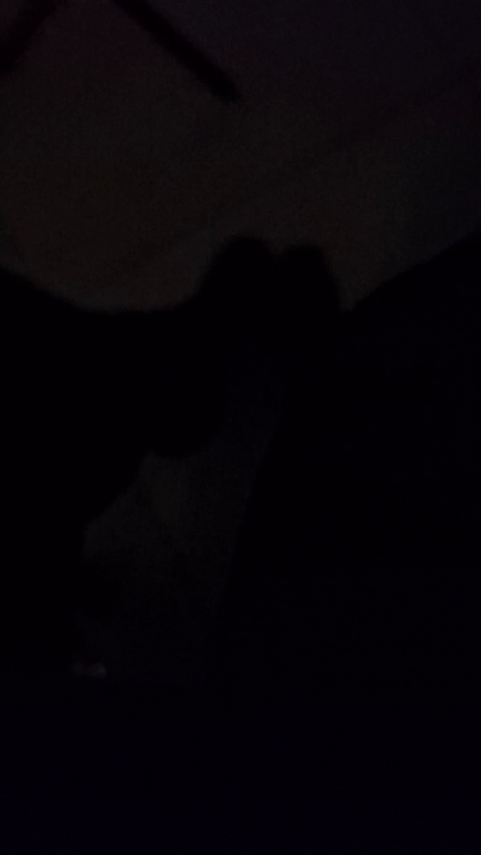 jenna36