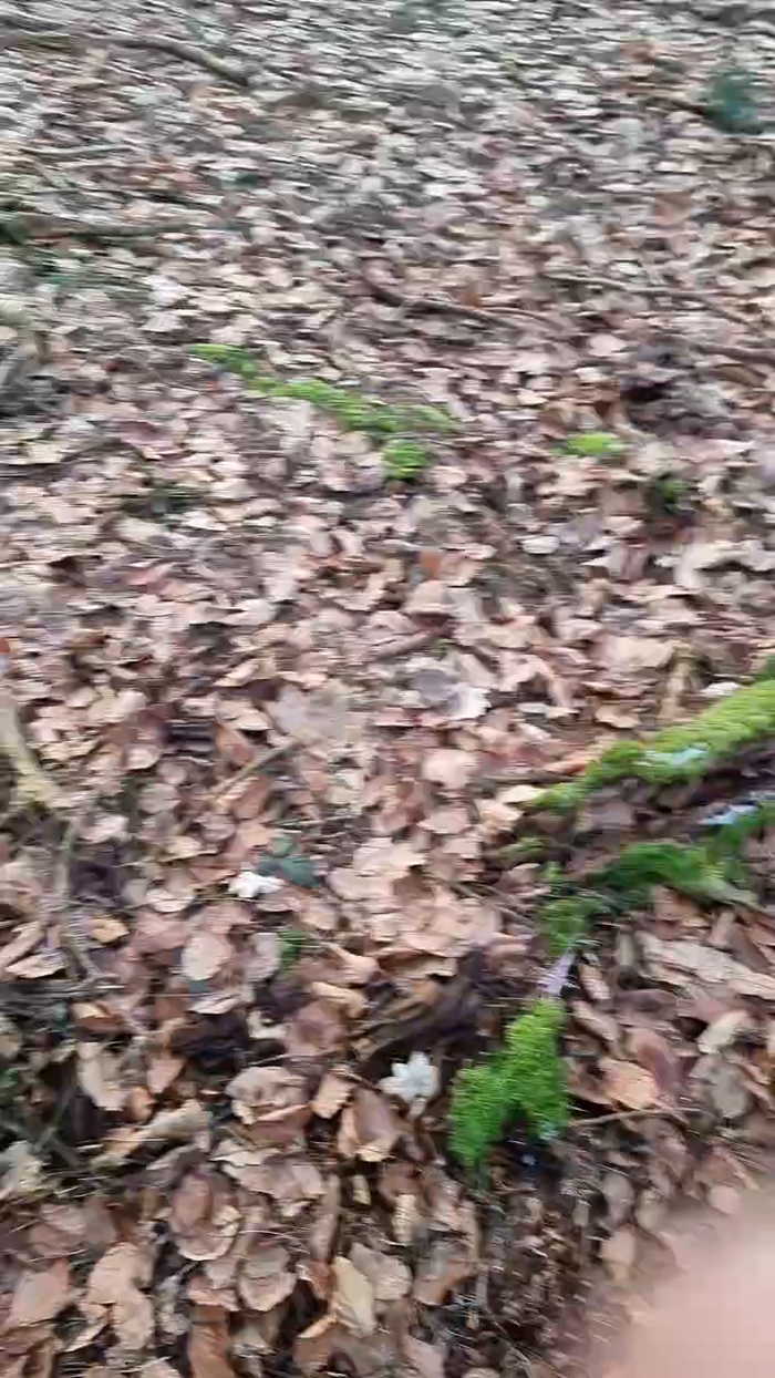 Outdoorgeil1