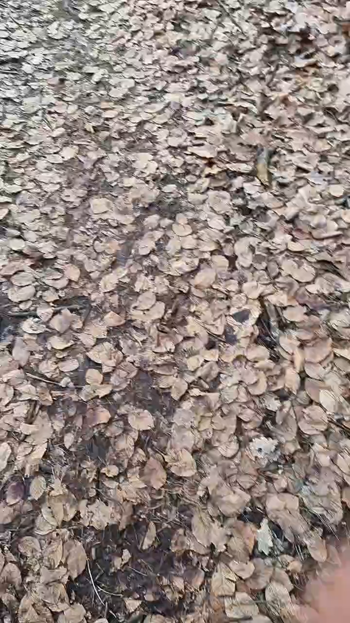 Outdoorgeil1