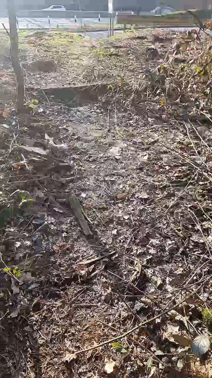 Outdoorgeil1