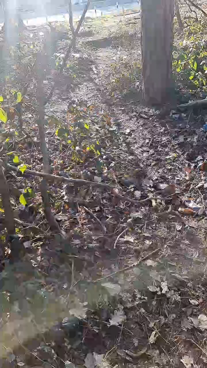 Outdoorgeil1