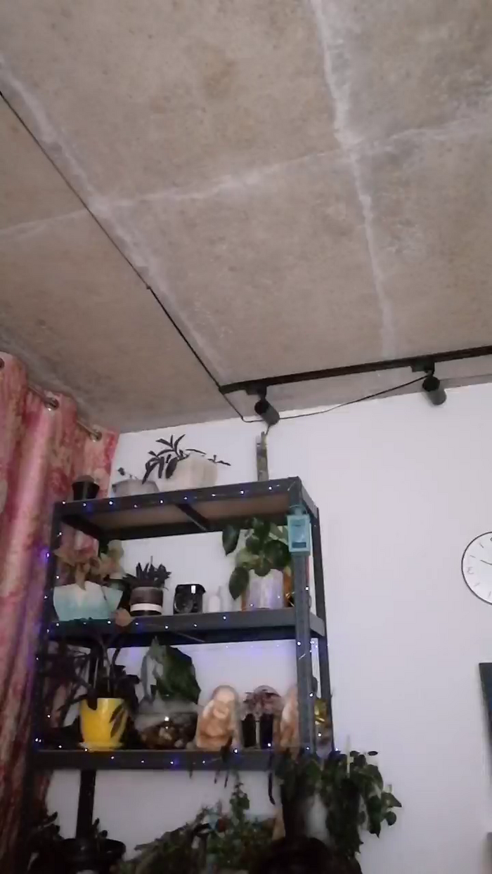 CrazyMom69