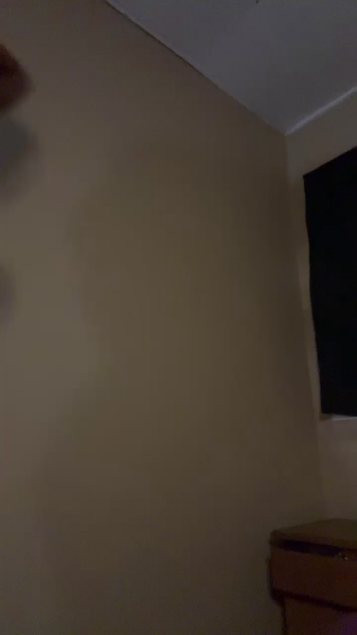 Daio_lop