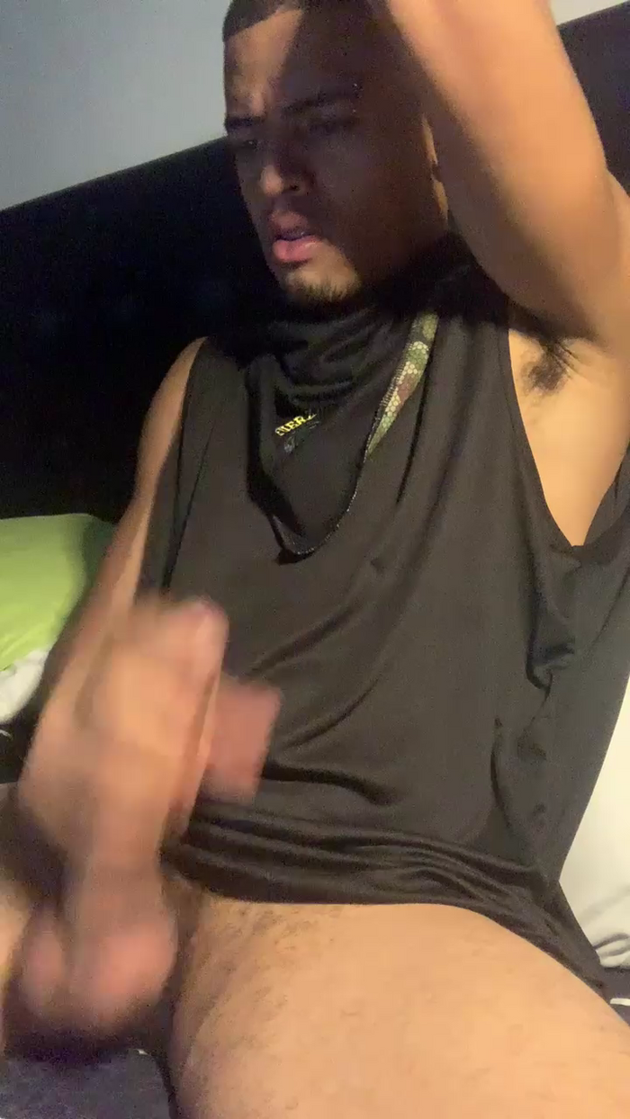 gatoloco27