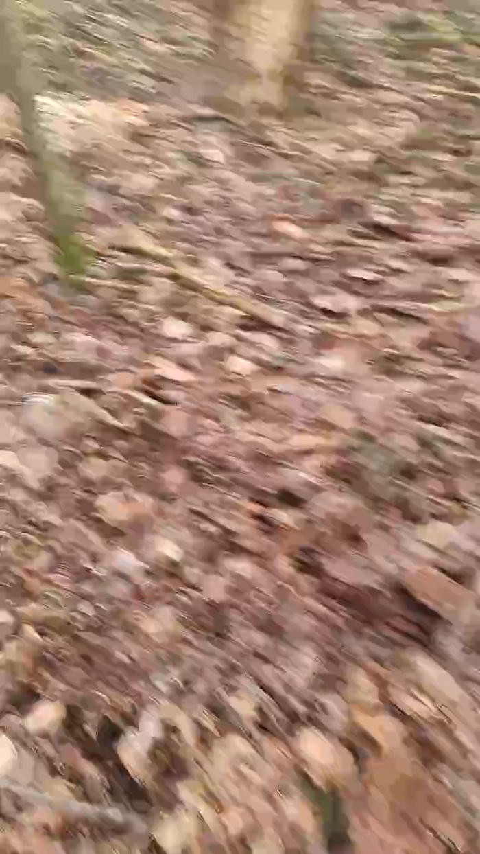 Outdoorgeil1