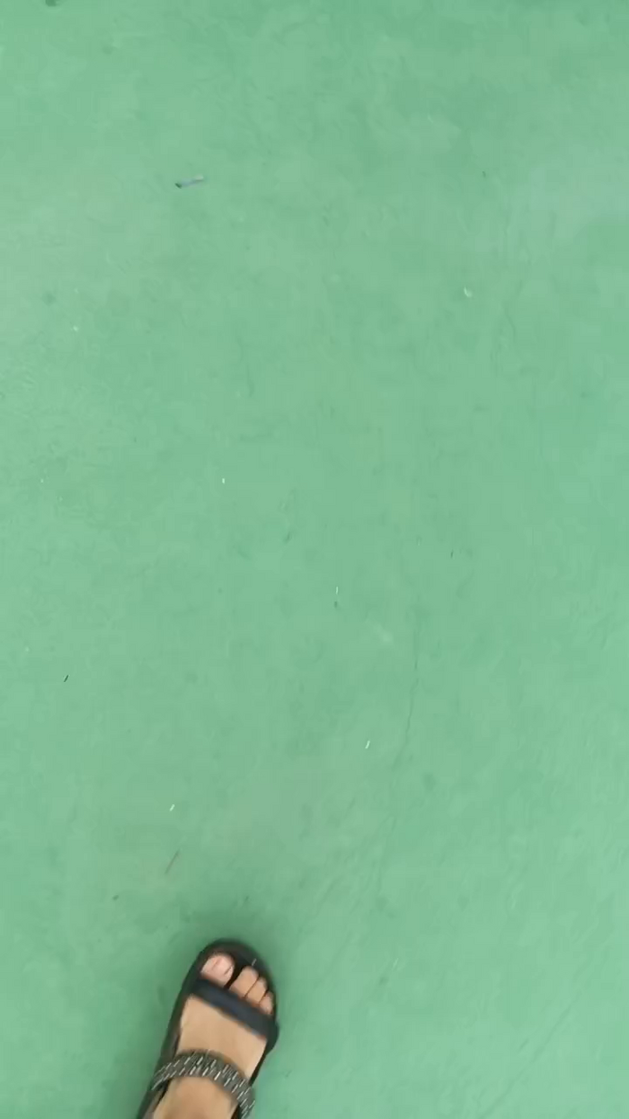 Raissa084