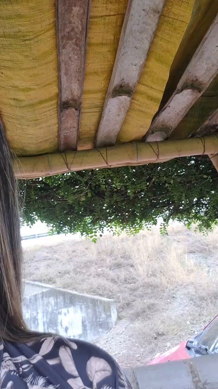 Tania__honey