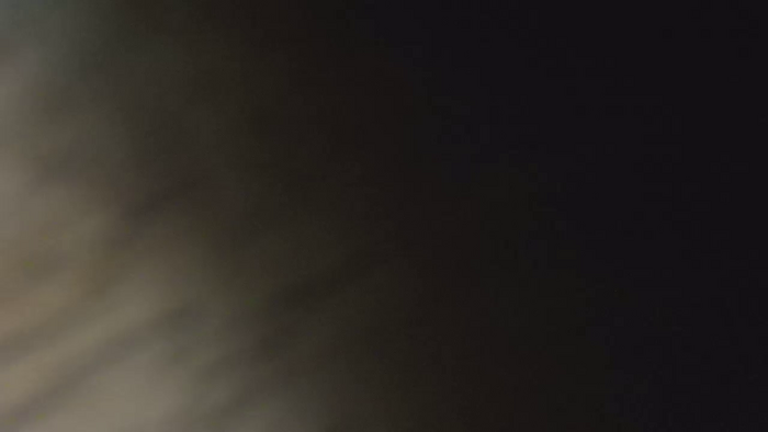 aloha_catita