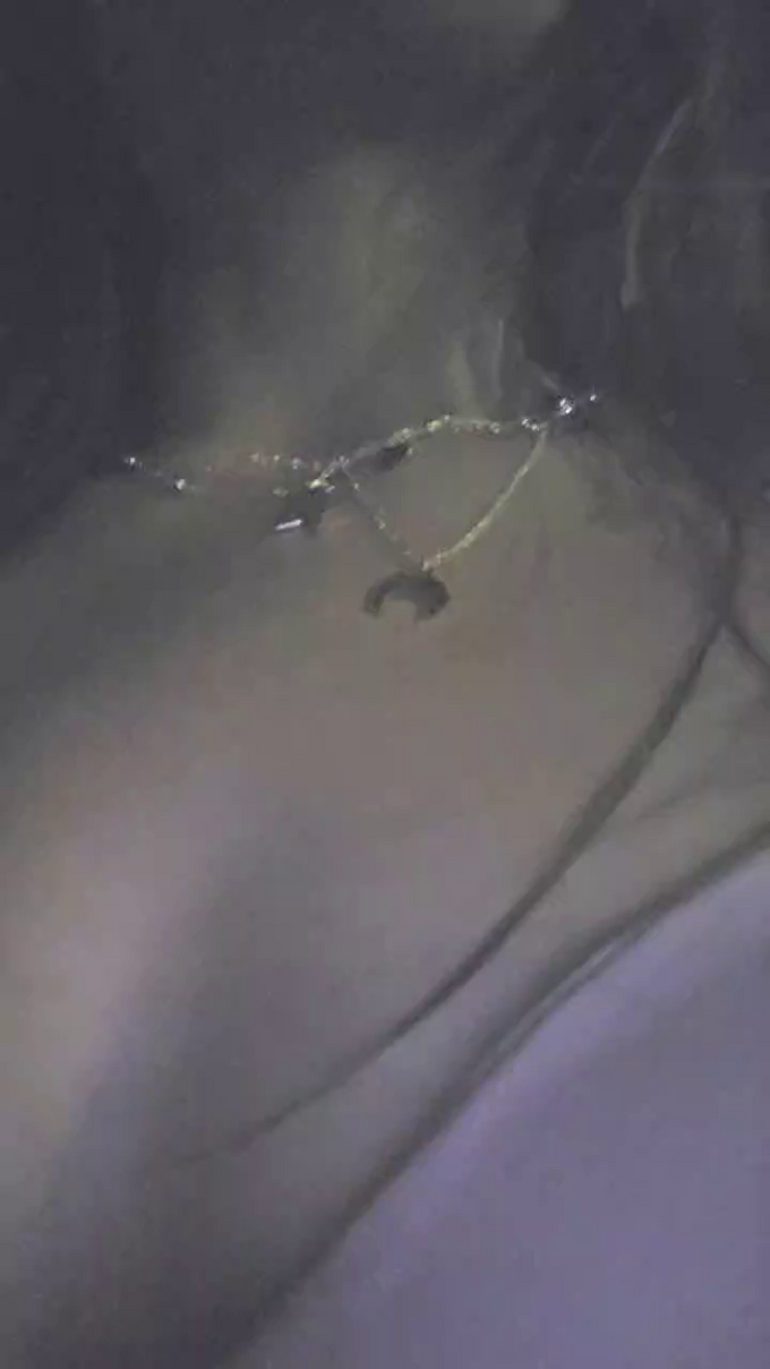 Jade_Zephyra