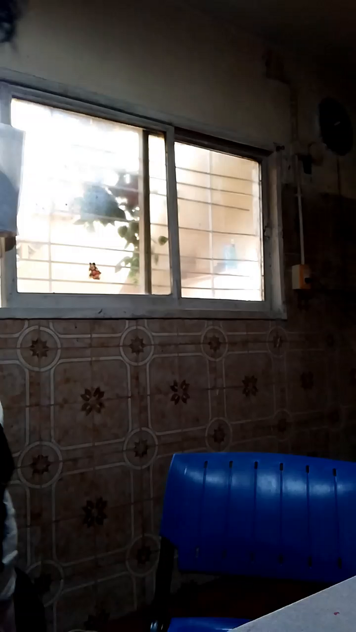 Diosa46
