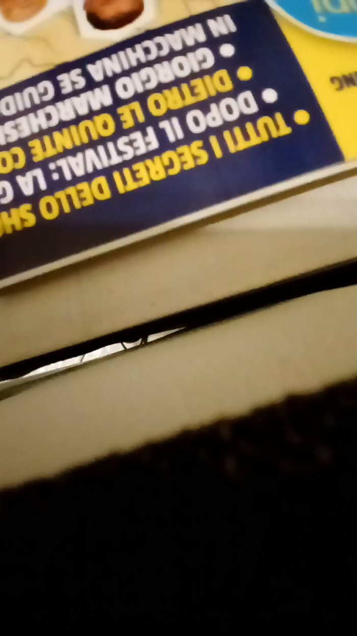 alessandravite1