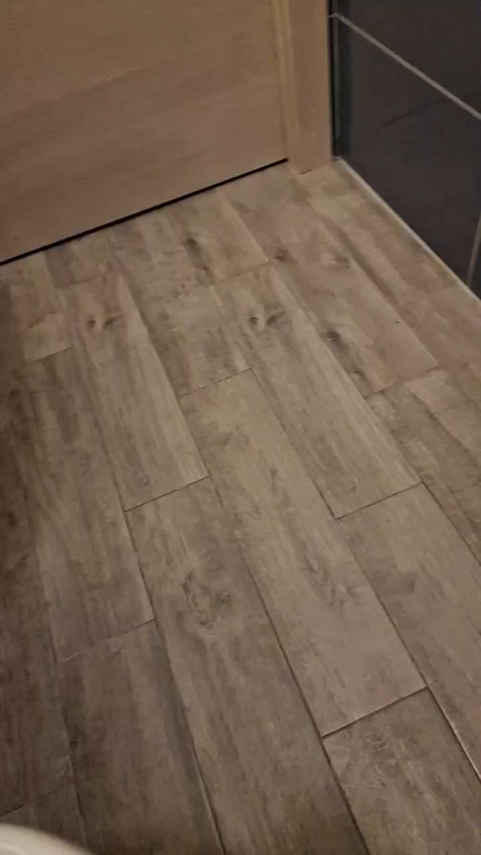 SofiaBarilla5