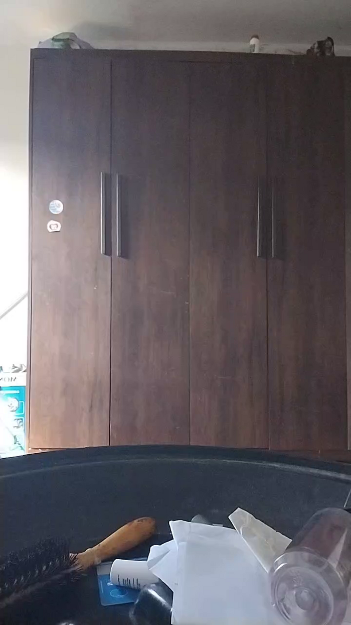 fernandinha27