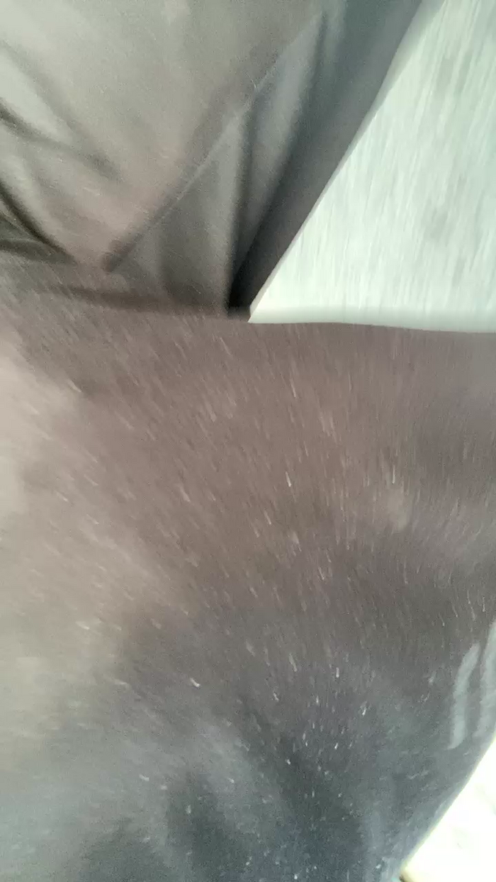 likescock5