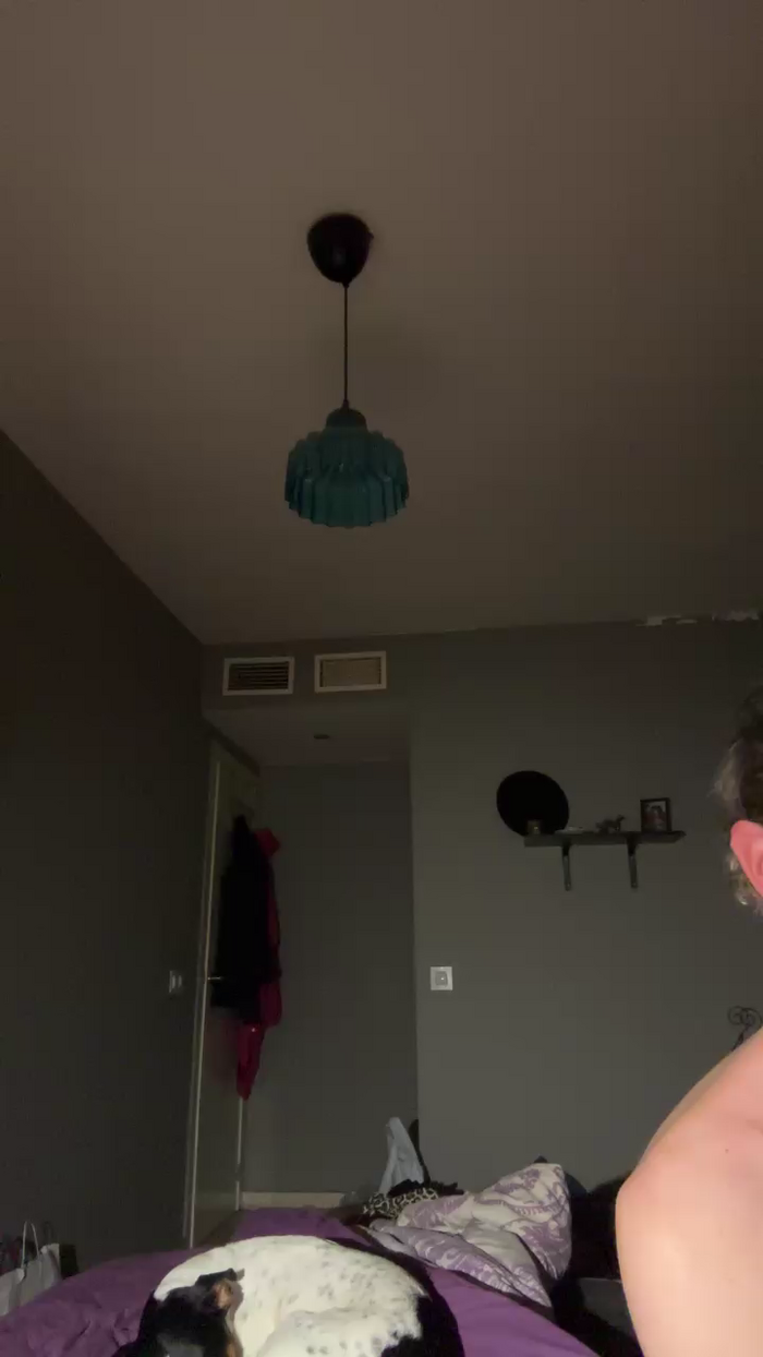 Pollon29_cm