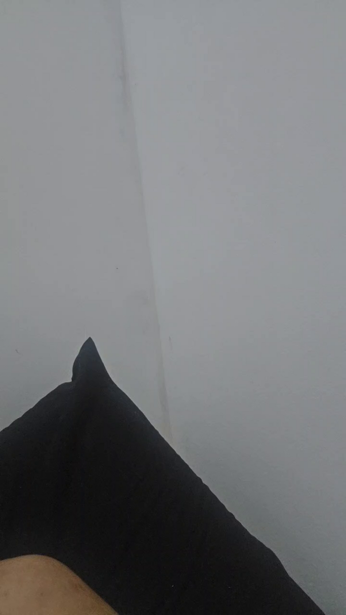 morpheuSp2004