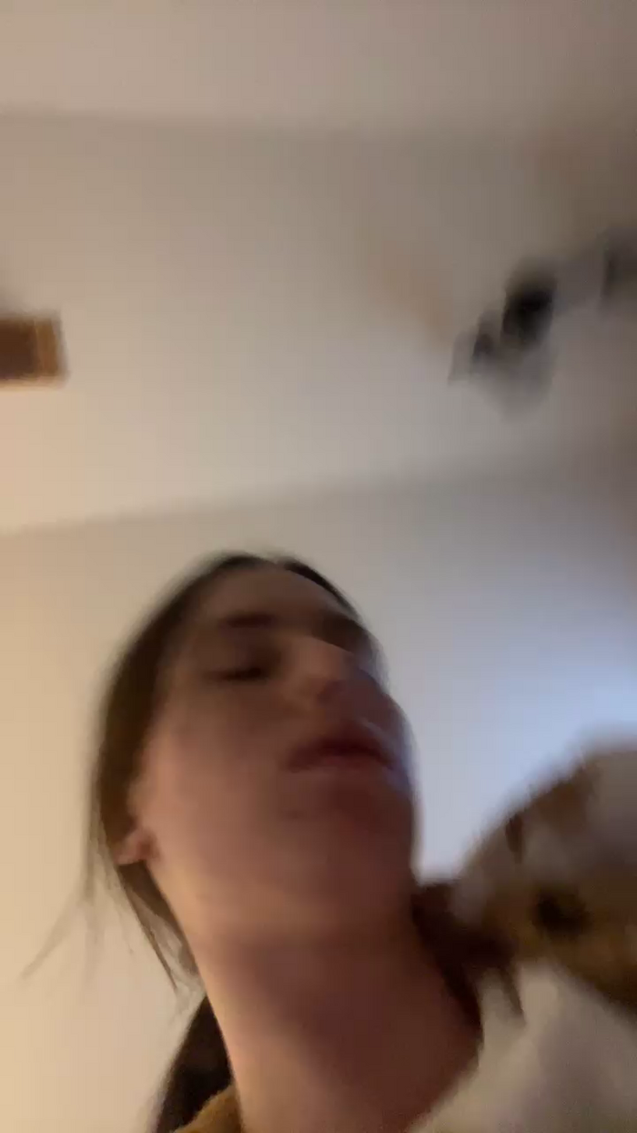 guiltyprincess