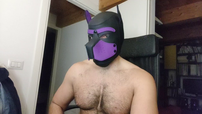 Hairypuppy82
