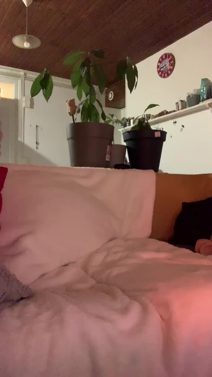 sexred_fun