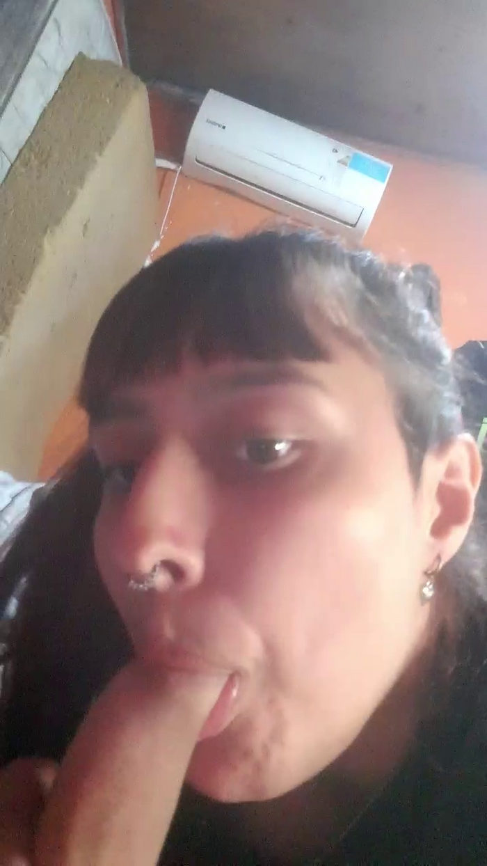 Dollb