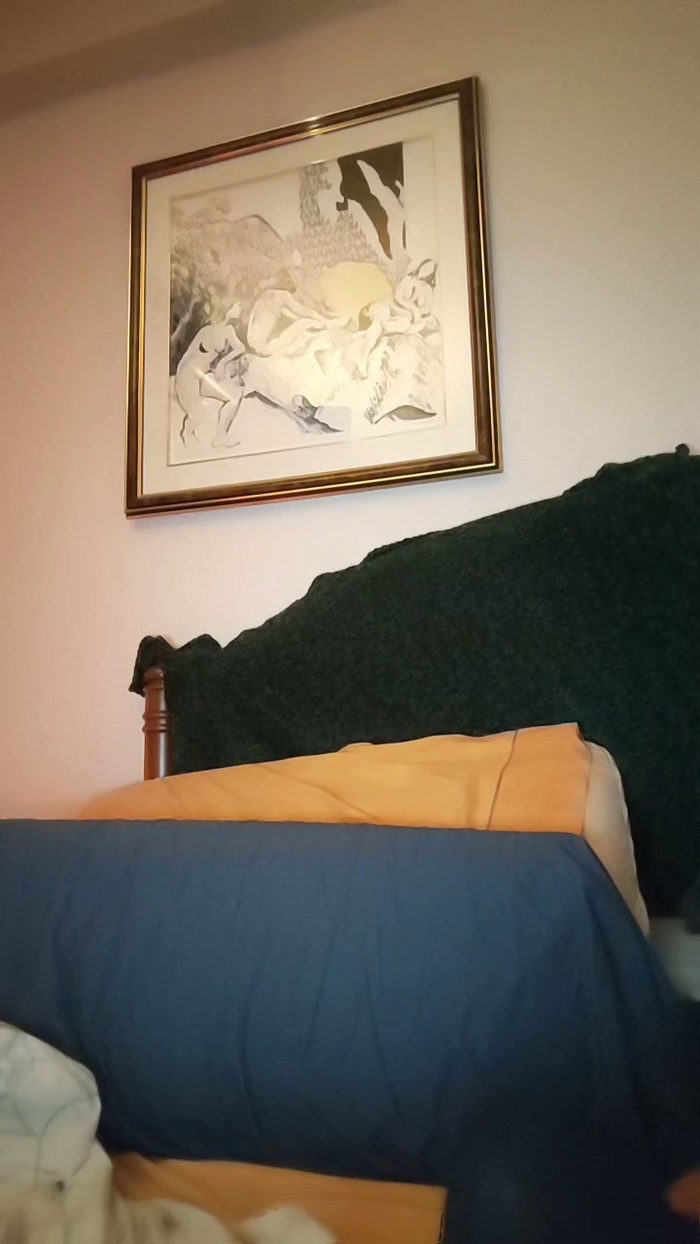 Boquiabierta