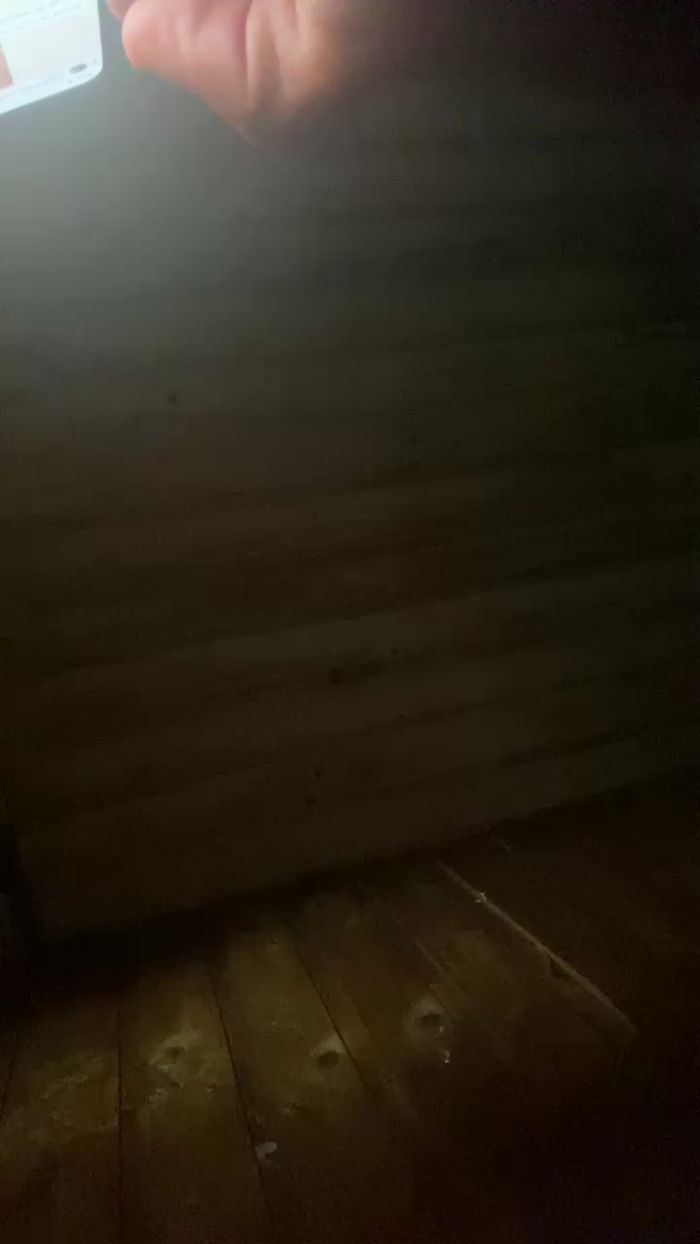 Gatita_erotica