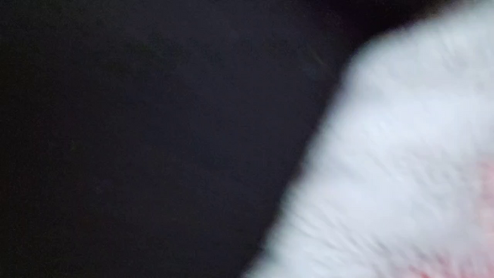 Shotime69altme
