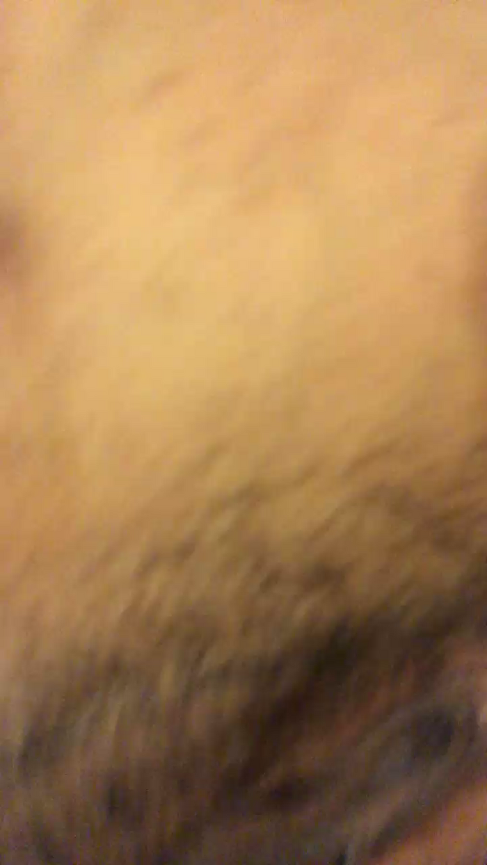 tatuada77