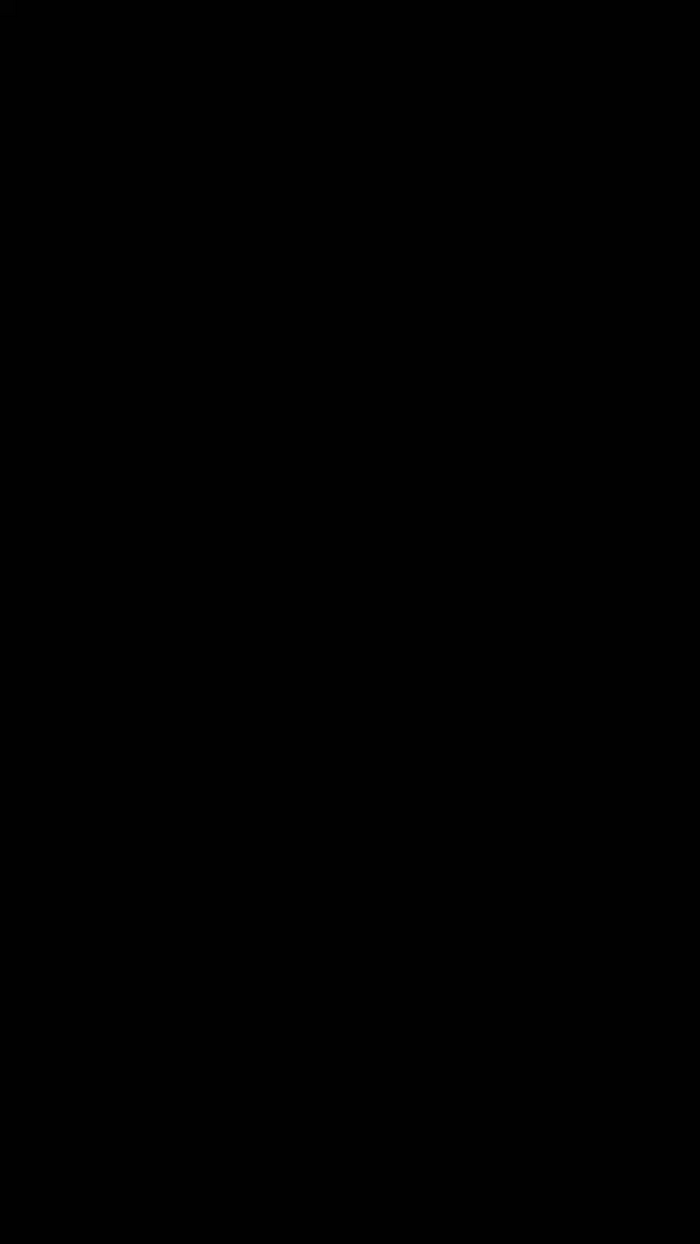 BlackDelToro