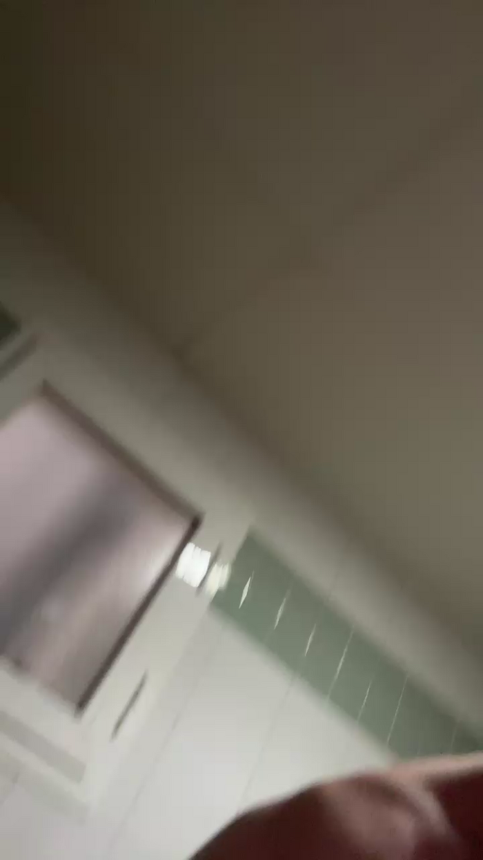 Pollon29_cm