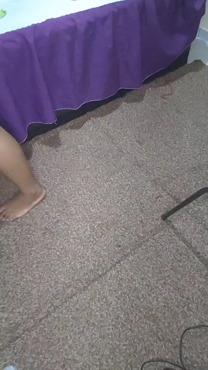 Vanessasalesv