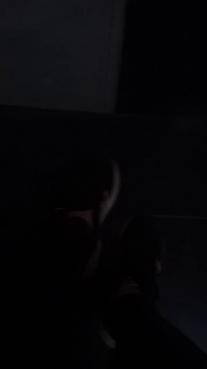 Daninoe1