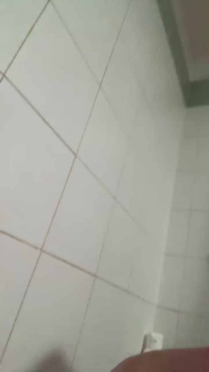 Pollon29_cm