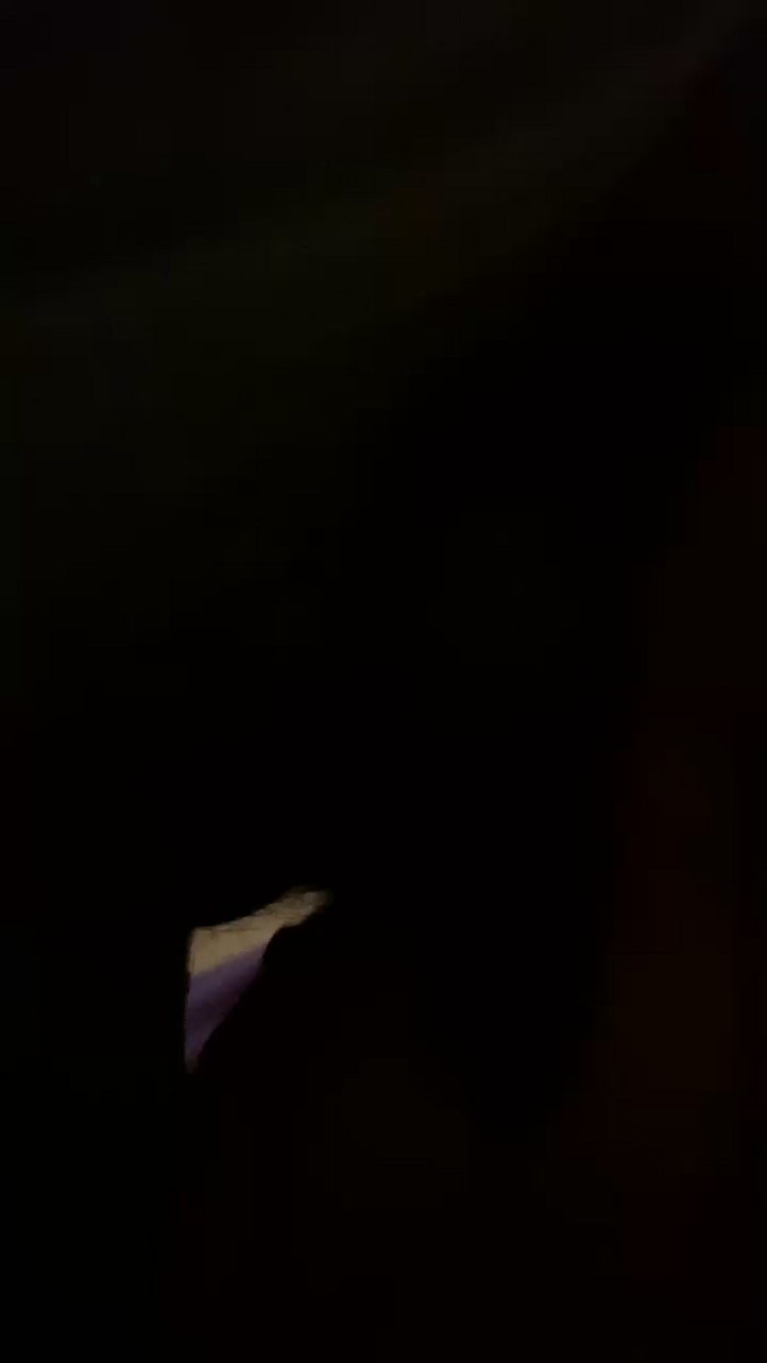 Aryaa_2021