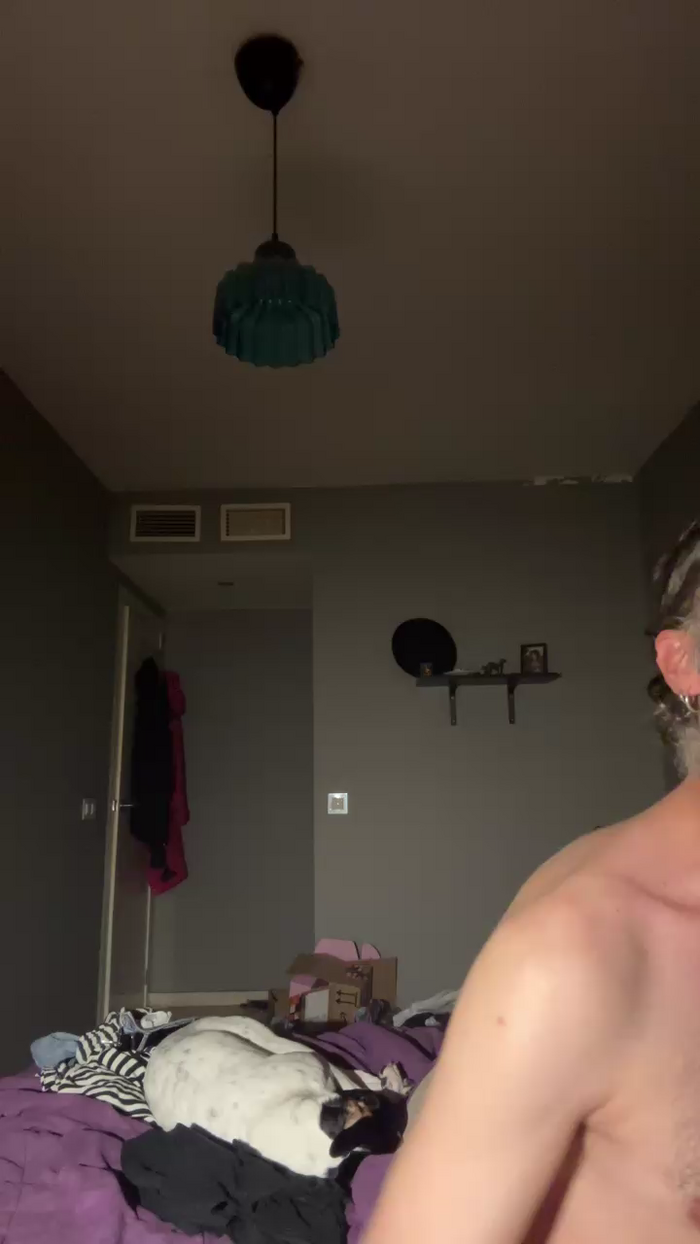 Pollon29_cm